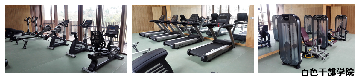 学校健身器材-广西Z6.COM-尊龙集团体育健身器材有限公司