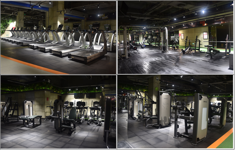 商用健身房器材-广西Z6.COM-尊龙集团体育健身器材有限公司