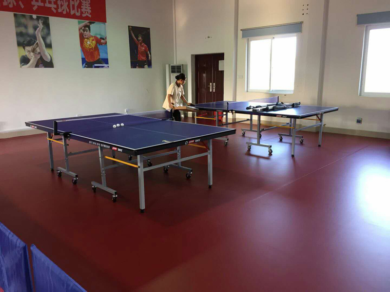 室内健身器材,单位健身器材,健身器材十大品牌-广西Z6.COM-尊龙集团体育健身器材有限公司