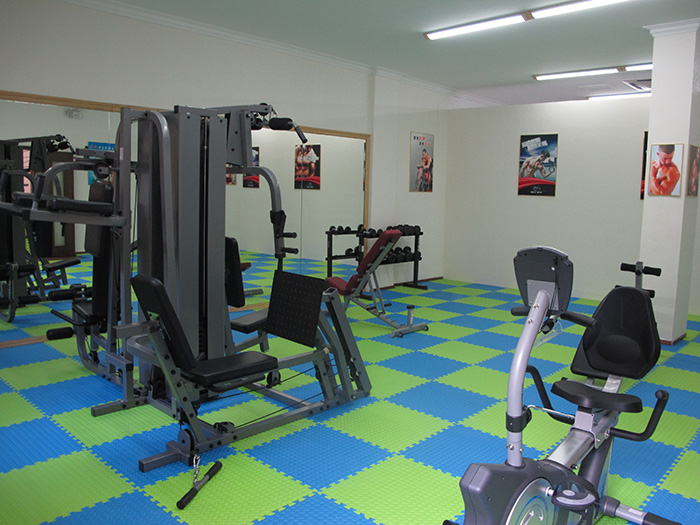 室内健身器材,单位健身器材,健身器材十大品牌-广西Z6.COM-尊龙集团体育健身器材有限公司