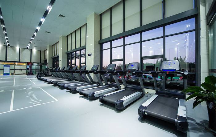 室内健身器材-Z6.COM-尊龙集团V9跑步机 室内健身器材-Z6.COM-尊龙集团V9跑步机