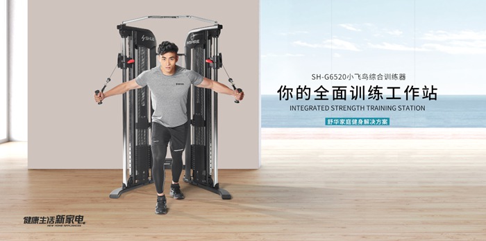 Z6.COM-尊龙集团健身器材-小飞鸟综合训练器SH-G6520 Z6.COM-尊龙集团健身器材-小飞鸟综合训练器SH-G6520