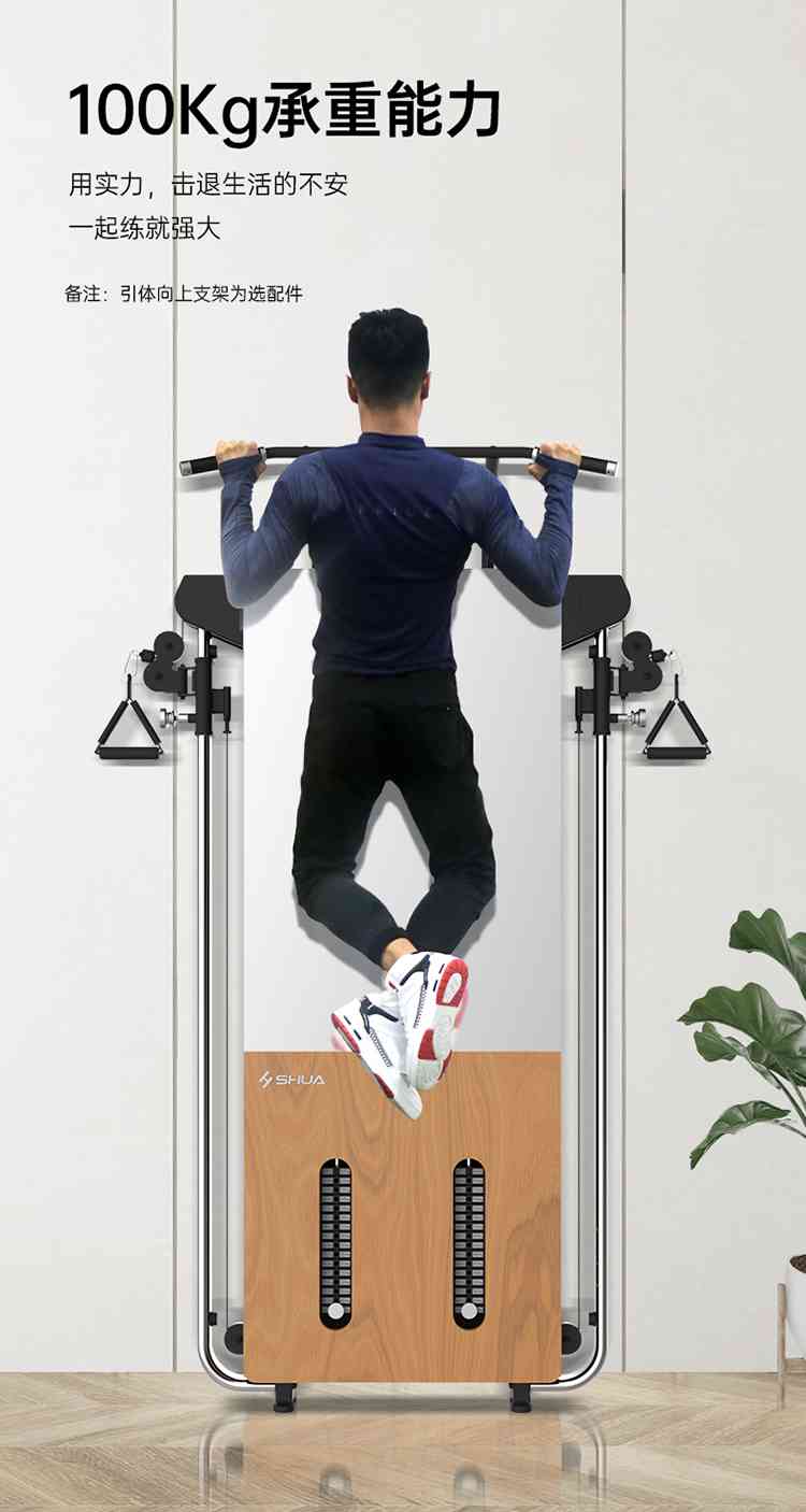 SH-G699 壁挂式拉绳训练器-广西Z6.COM-尊龙集团体育健身器材有限公司